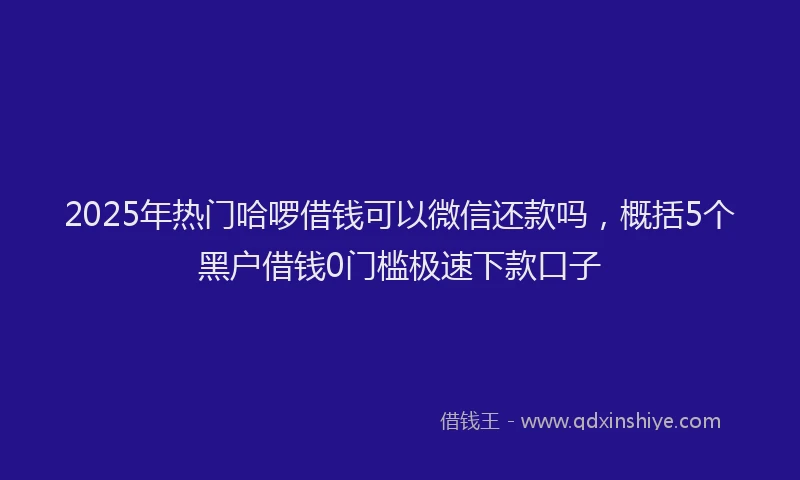 2025年热门哈啰借钱可以微信还款吗，概括5个黑户借钱0门槛极速下款口子