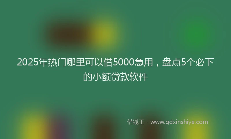 2025年热门哪里可以借5000急用，盘点5个必下的小额贷款软件