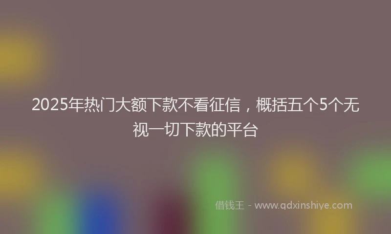 2025年热门大额下款不看征信，概括五个5个无视一切下款的平台