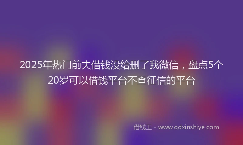 2025年热门前夫借钱没给删了我微信，盘点5个20岁可以借钱平台不查征信的平台