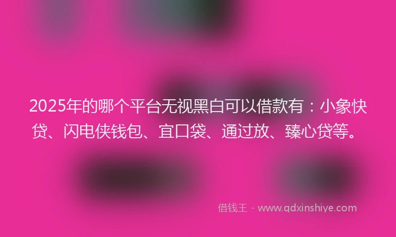 2025年的哪个平台无视黑白可以借款有：小象快贷、闪电侠钱包、宜口袋、通过放、臻心贷等。