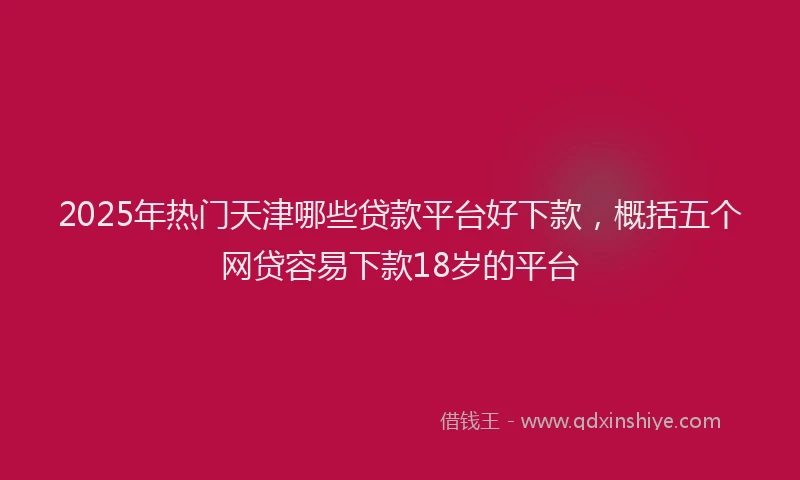 2025年热门天津哪些贷款平台好下款，概括五个网贷容易下款18岁的平台