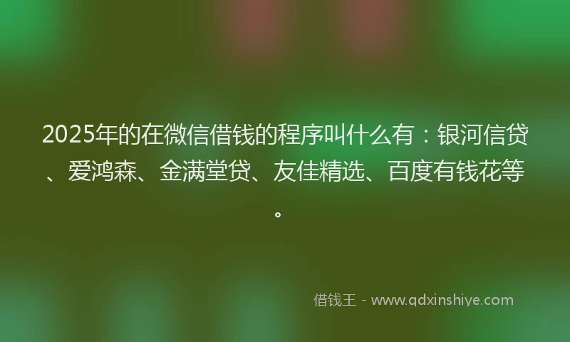 2025年的在微信借钱的程序叫什么有：银河信贷、爱鸿森、金满堂贷、友佳精选、百度有钱花等。