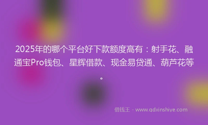2025年的哪个平台好下款额度高有：射手花、融通宝Pro钱包、星辉借款、现金易贷通、葫芦花等。