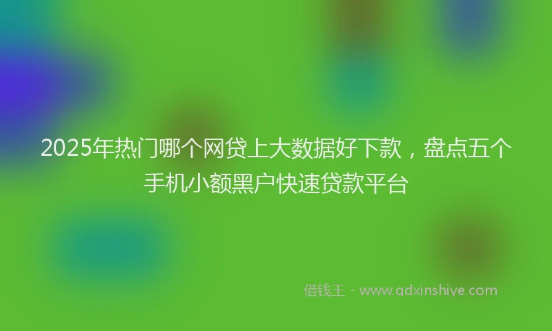 2025年热门哪个网贷上大数据好下款，盘点五个手机小额黑户快速贷款平台