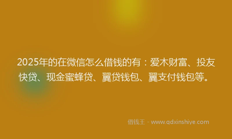 2025年的在微信怎么借钱的有：爱木财富、投友快贷、现金蜜蜂贷、翼贷钱包、翼支付钱包等。