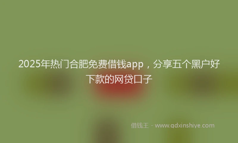 2025年热门合肥免费借钱app，分享五个黑户好下款的网贷口子
