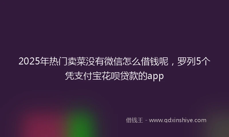 2025年热门卖菜没有微信怎么借钱呢，罗列5个凭支付宝花呗贷款的app