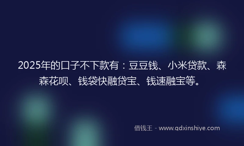 2025年的口子不下款有：豆豆钱、小米贷款、森森花呗、钱袋快融贷宝、钱速融宝等。