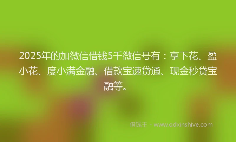 2025年的加微信借钱5千微信号有：享下花、盈小花、度小满金融、借款宝速贷通、现金秒贷宝融等。