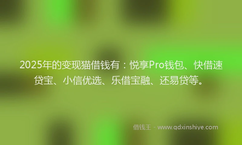 2025年的变现猫借钱有：悦享Pro钱包、快借速贷宝、小信优选、乐借宝融、还易贷等。