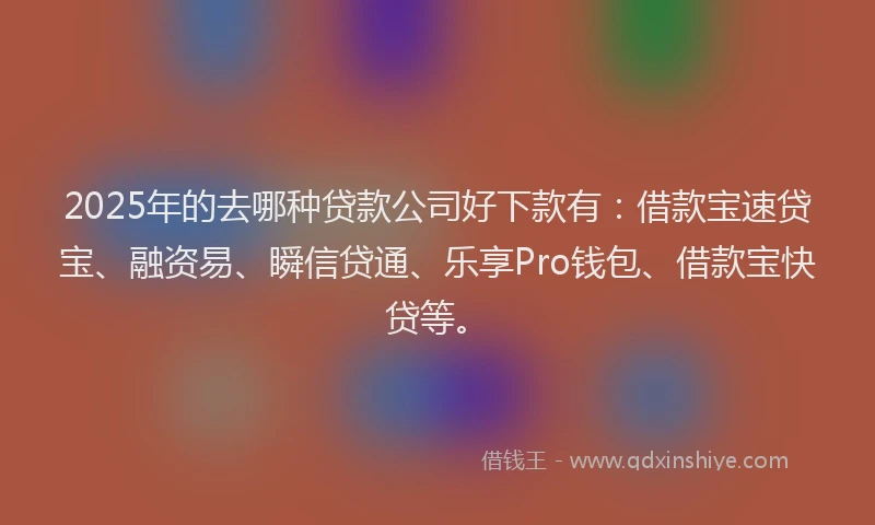 2025年的去哪种贷款公司好下款有：借款宝速贷宝、融资易、瞬信贷通、乐享Pro钱包、借款宝快贷等。