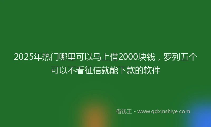 2025年热门哪里可以马上借2000块钱，罗列五个可以不看征信就能下款的软件