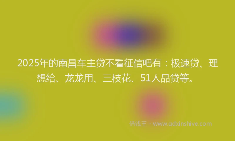 2025年的南昌车主贷不看征信吧有：极速贷、理想给、龙龙用、三枝花、51人品贷等。