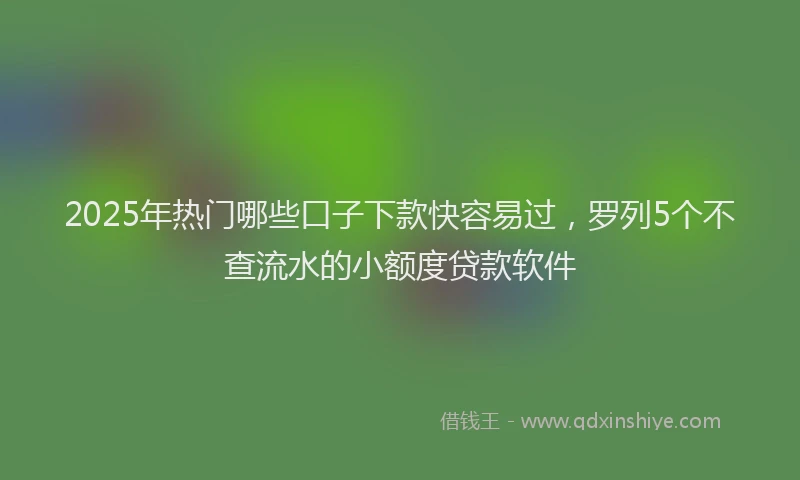 2025年热门哪些口子下款快容易过，罗列5个不查流水的小额度贷款软件