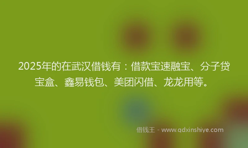 2025年的在武汉借钱有：借款宝速融宝、分子贷宝盒、鑫易钱包、美团闪借、龙龙用等。