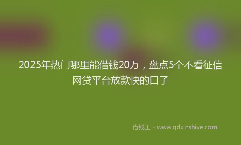 2025年热门哪里能借钱20万，盘点5个不看征信网贷平台放款快的口子