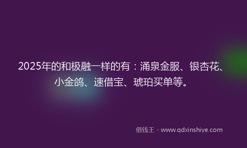 2025年的和极融一样的有：涌泉金服、银杏花、小金鸽、速借宝、琥珀买单等。