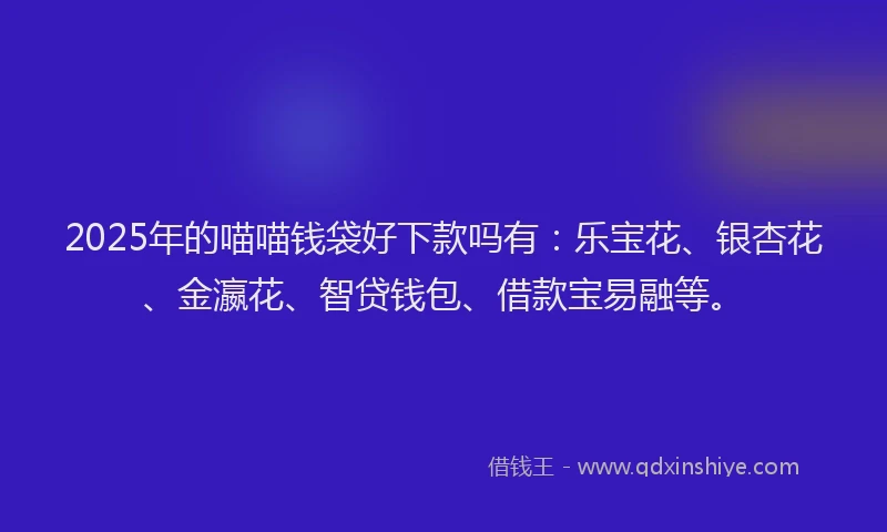 2025年的喵喵钱袋好下款吗有：乐宝花、银杏花、金瀛花、智贷钱包、借款宝易融等。