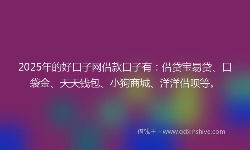 2025年的好口子网借款口子有：借贷宝易贷、口袋金、天天钱包、小狗商城、洋洋借呗等。
