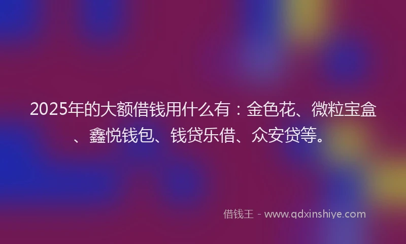 2025年的大额借钱用什么有：金色花、微粒宝盒、鑫悦钱包、钱贷乐借、众安贷等。