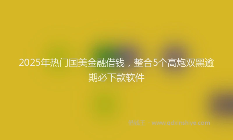 2025年热门国美金融借钱，整合5个高炮双黑逾期必下款软件