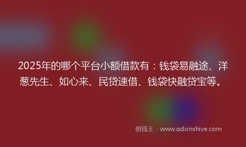2025年的哪个平台小额借款有：钱袋易融途、洋葱先生、如心来、民贷速借、钱袋快融贷宝等。