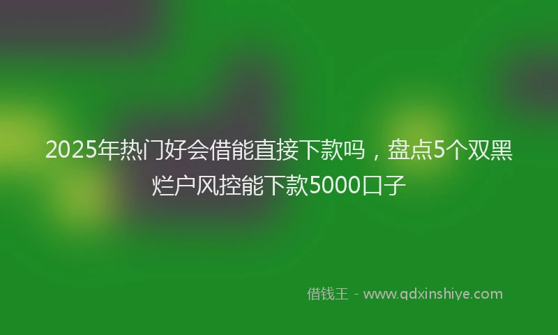 2025年热门好会借能直接下款吗，盘点5个双黑烂户风控能下款5000口子
