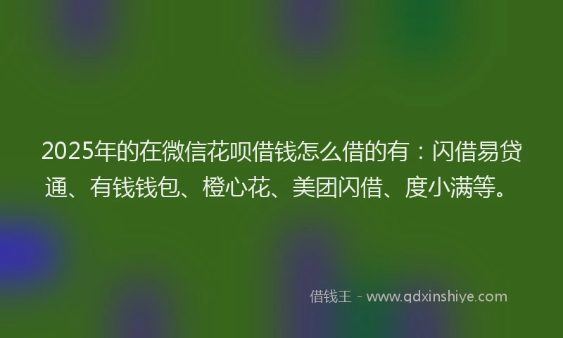2025年的在微信花呗借钱怎么借的有：闪借易贷通、有钱钱包、橙心花、美团闪借、度小满等。
