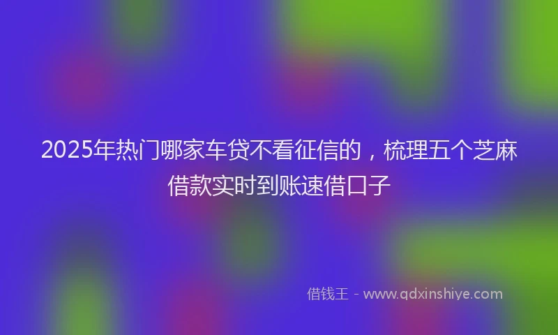 2025年热门哪家车贷不看征信的，梳理五个芝麻借款实时到账速借口子