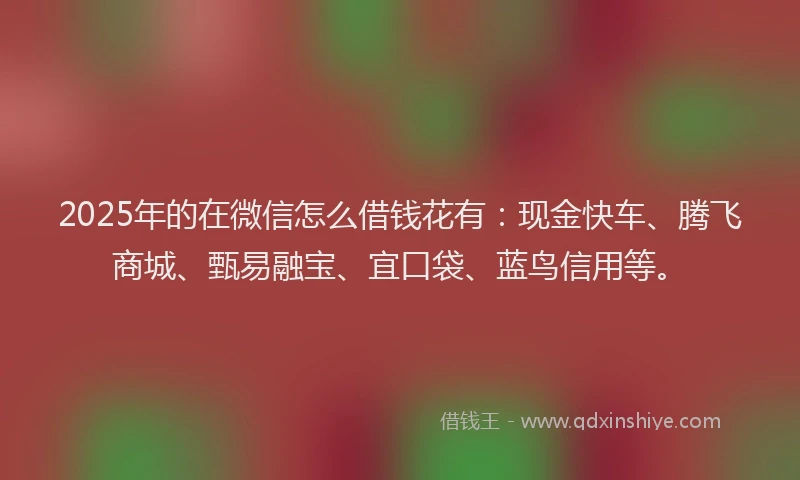 2025年的在微信怎么借钱花有：现金快车、腾飞商城、甄易融宝、宜口袋、蓝鸟信用等。