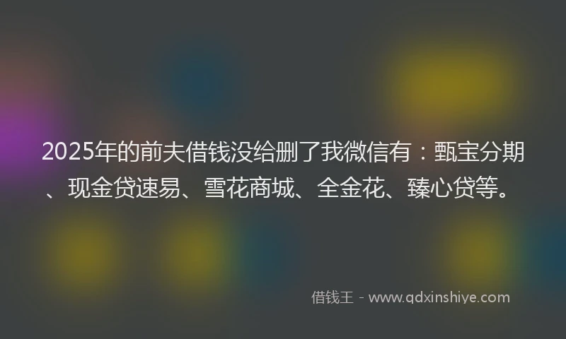 2025年的前夫借钱没给删了我微信有：甄宝分期、现金贷速易、雪花商城、全金花、臻心贷等。
