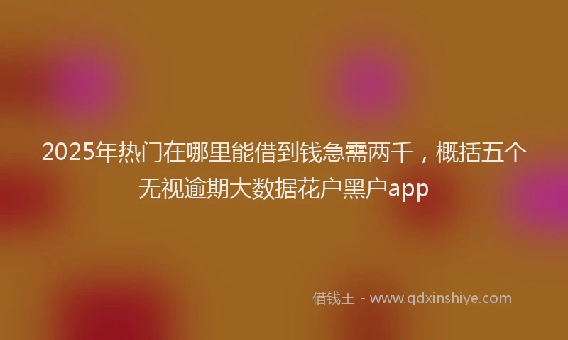 2025年热门在哪里能借到钱急需两千，概括五个无视逾期大数据花户黑户app