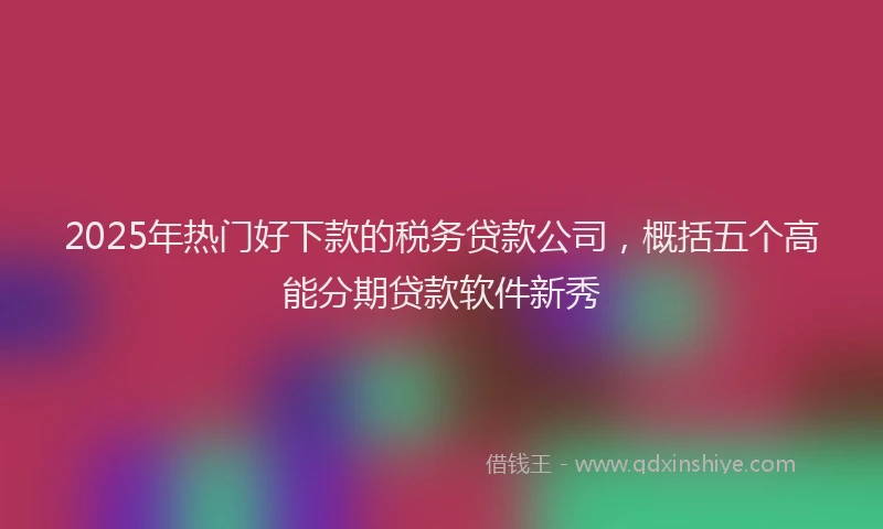 2025年热门好下款的税务贷款公司，概括五个高能分期贷款软件新秀