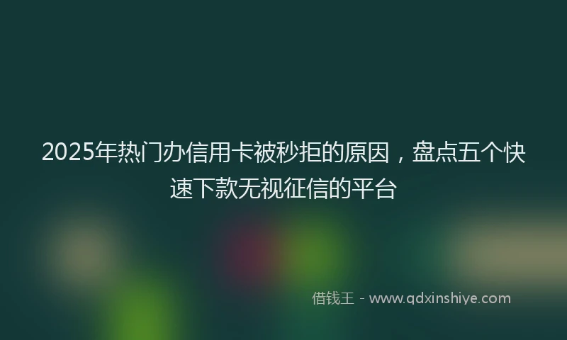 2025年热门办信用卡被秒拒的原因，盘点五个快速下款无视征信的平台