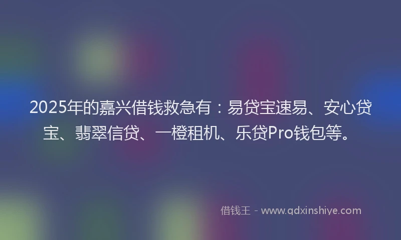 2025年的嘉兴借钱救急有：易贷宝速易、安心贷宝、翡翠信贷、一橙租机、乐贷Pro钱包等。