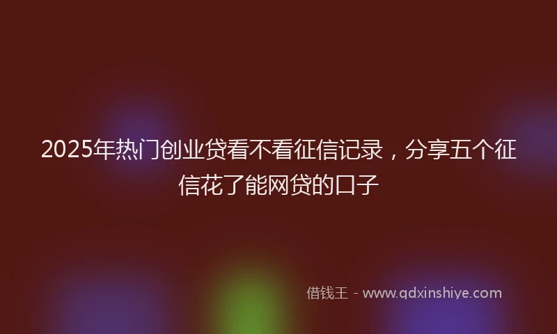 2025年热门创业贷看不看征信记录，分享五个征信花了能网贷的口子