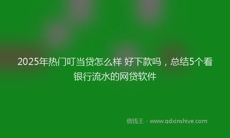 2025年热门叮当贷怎么样 好下款吗，总结5个看银行流水的网贷软件