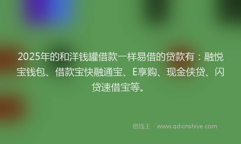 2025年的和洋钱罐借款一样易借的贷款有：融悦宝钱包、借款宝快融通宝、E享购、现金侠贷、闪贷速借宝等。