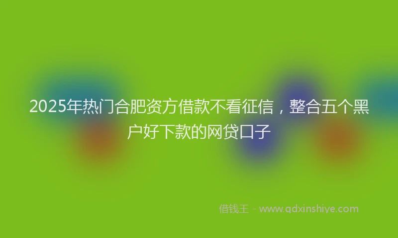 2025年热门合肥资方借款不看征信，整合五个黑户好下款的网贷口子