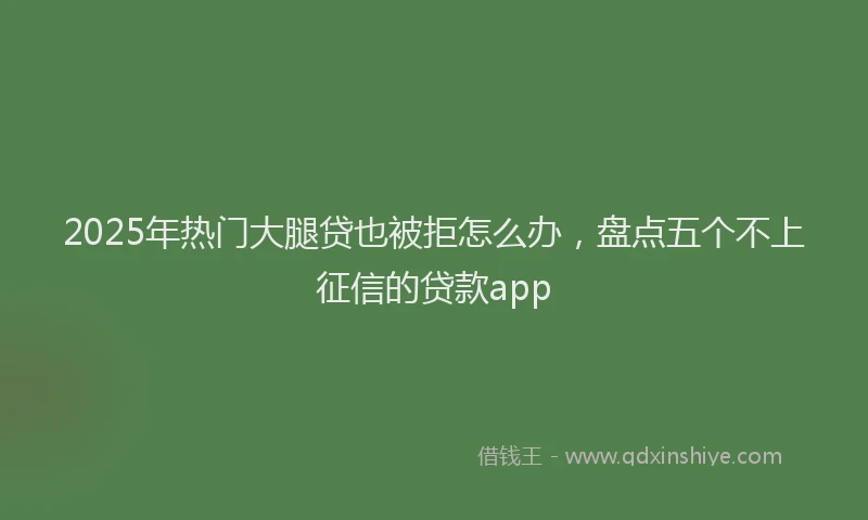 2025年热门大腿贷也被拒怎么办，盘点五个不上征信的贷款app