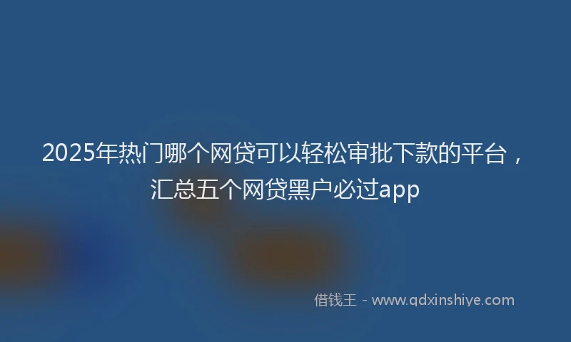 2025年热门哪个网贷可以轻松审批下款的平台，汇总五个网贷黑户必过app
