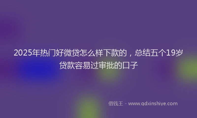2025年热门好微贷怎么样下款的，总结五个19岁贷款容易过审批的口子
