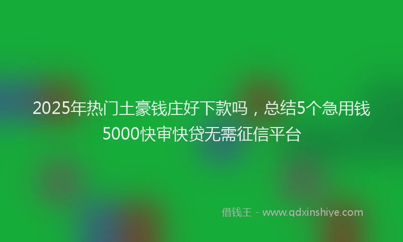 2025年热门土豪钱庄好下款吗，总结5个急用钱5000快审快贷无需征信平台