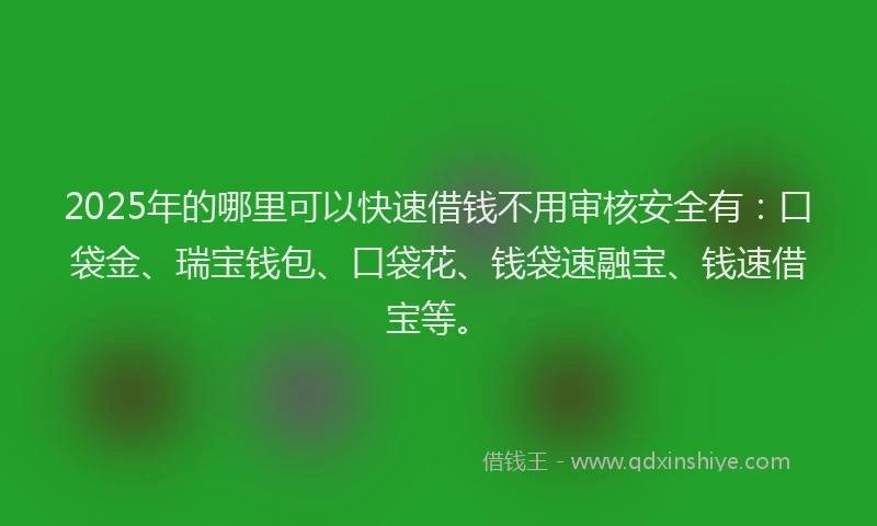 2025年的哪里可以快速借钱不用审核安全有：口袋金、瑞宝钱包、口袋花、钱袋速融宝、钱速借宝等。