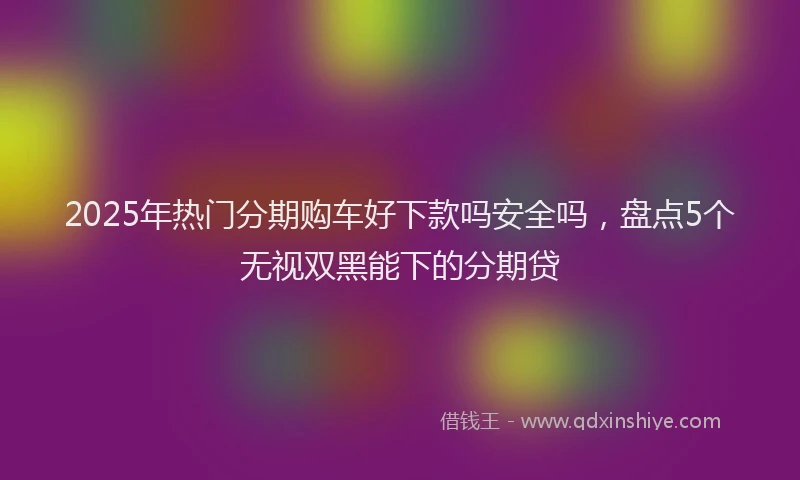 2025年热门分期购车好下款吗安全吗，盘点5个无视双黑能下的分期贷