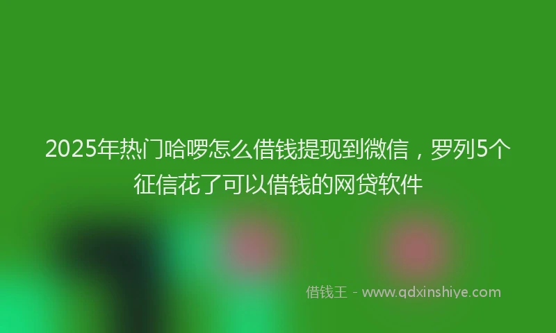 2025年热门哈啰怎么借钱提现到微信，罗列5个征信花了可以借钱的网贷软件