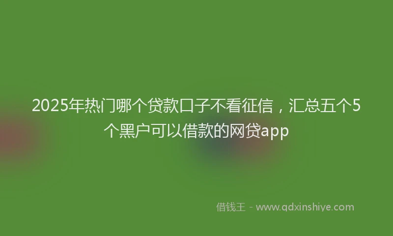 2025年热门哪个贷款口子不看征信，汇总五个5个黑户可以借款的网贷app