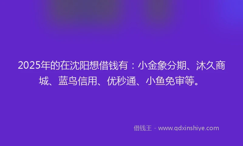 2025年的在沈阳想借钱有：小金象分期、沐久商城、蓝鸟信用、优秒通、小鱼免审等。