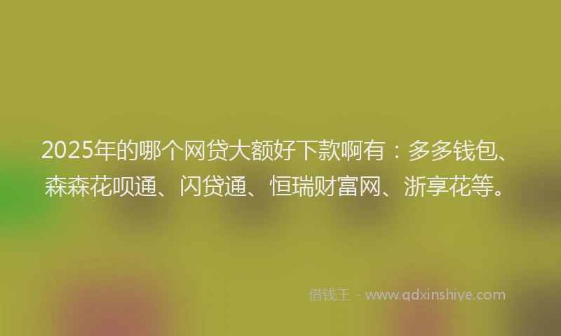2025年的哪个网贷大额好下款啊有：多多钱包、森森花呗通、闪贷通、恒瑞财富网、浙享花等。